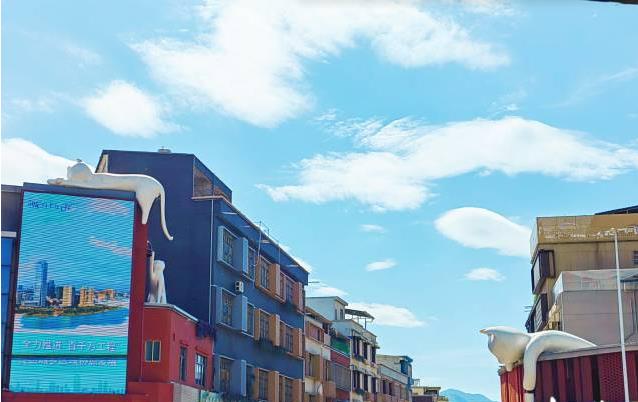 惠州龙门永汉镇：塑造特色IP打造有韵味主街