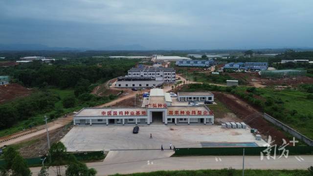 河源东源顺天镇：探索“村企共建”，小镇做出增收大文章